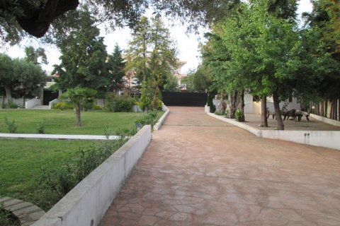 1600m² Land in Polygyros, Greece No. 59690 6