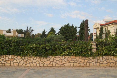 1600m² Land en Polygyros, Greece No. 59690 11