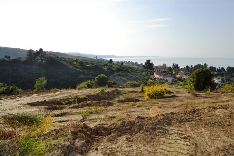 4650m² Land à Chalkidiki, Greece No. 59688 6