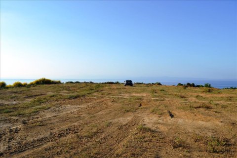 4650m² Land in Chalkidiki, Greece No. 59688 3