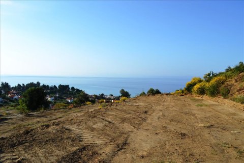 4650m² Land à Chalkidiki, Greece No. 59688 5