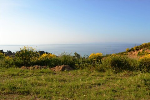 4650m² Land à Chalkidiki, Greece No. 59688 10