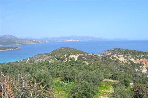 4200m² Land in Agios Nikolaos, Greece No. 58736 1