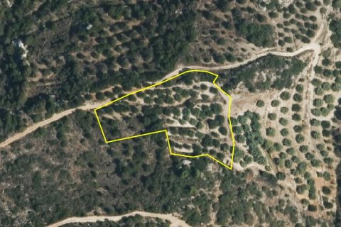 4200m² Land in Agios Nikolaos, Greece No. 58736 6