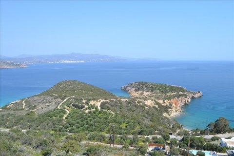 4200m² Land in Agios Nikolaos, Greece No. 58736 3