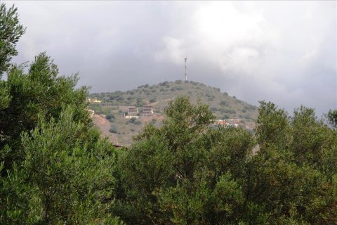 4200m² Land en Agios Nikolaos, Greece No. 58736 2