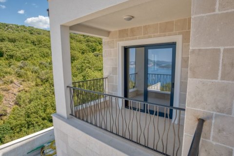 450m² House in Budva, Montenegro No. 66712 10