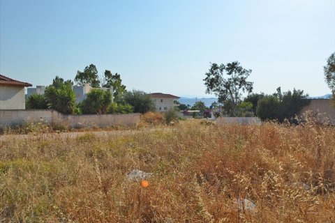 1565m² Land à Kalyvia Thorikou, Greece No. 60239 1