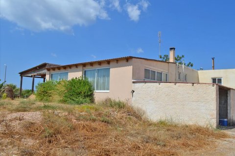 280m² Negocio en Legrena, Greece No. 60238 11