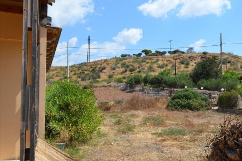 280m² Negocio en Legrena, Greece No. 60238 12