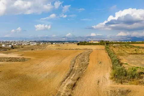 9634m² Land in Geri, Cyprus No. 35767 3