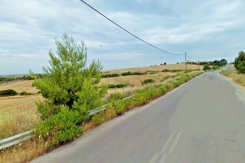 17000m² Land en Thessaloniki, Greece No. 57828 2