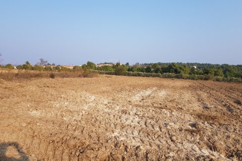 11005m² Land in Chalkidiki, Greece No. 57829 1