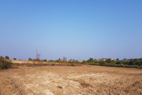 11005m² Land en Chalkidiki, Greece No. 57829 4