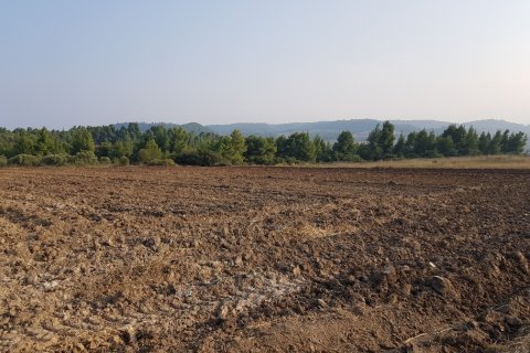 11005m² Land in Chalkidiki, Greece No. 57829 3