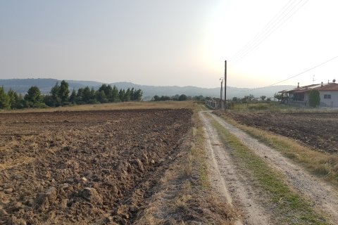 11005m² Land in Chalkidiki, Greece No. 57829 2