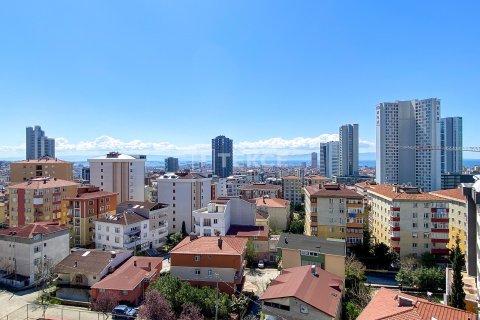 3+1 Apartment in Istanbul, Turkey No. 13368 1