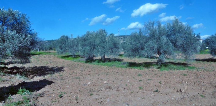 3500m² Land en Chalcis, Greece No. 59782