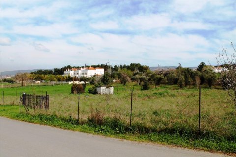 2009m² Land in Pylaia, Greece No. 59812 1