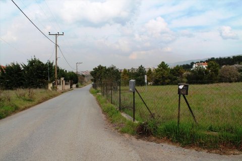 2009m² Land in Pylaia, Greece No. 59812 4