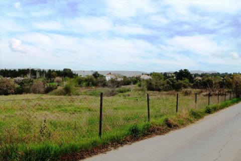 2009m² Land à Pylaia, Greece No. 59812 3