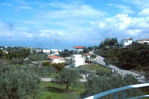 4 dormitorios House en Chalcis, Greece No. 59780 16