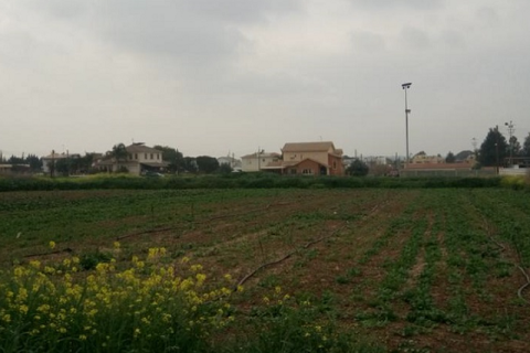 8179m² Land à Pano Deftera, Cyprus No. 35652 1