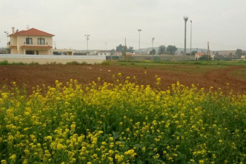 8179m² Land à Pano Deftera, Cyprus No. 35652 2