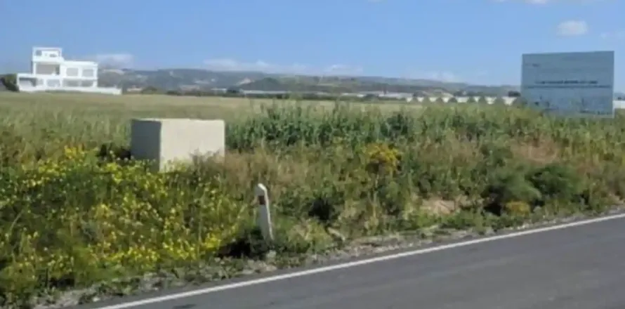 16194m² Land in Psematismenos, Cyprus No. 35651