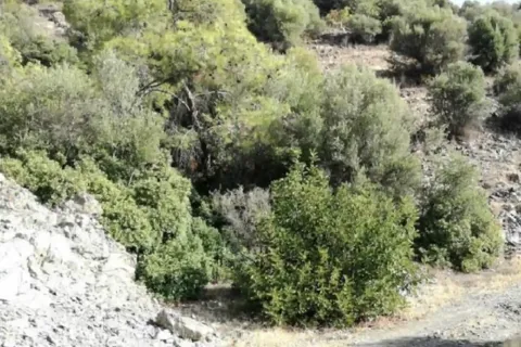 112526m² Land in Germasogeia, Cyprus No. 35650 2