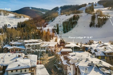 5 bedrooms Condo  in Vail, USA No. 75913 3