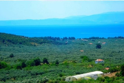 25000m² Land en Thasos, Greece No. 57343 1