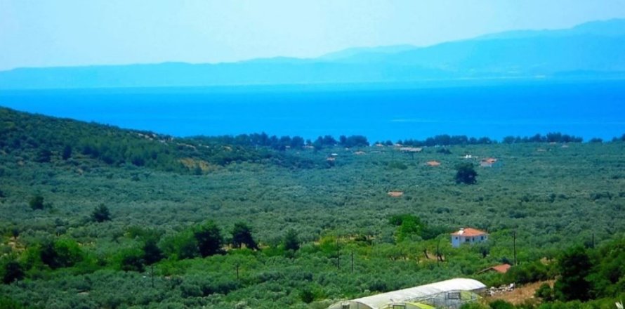 25000m² Land à Thasos, Greece No. 57343