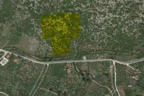 25000m² Land in Thasos, Greece No. 57343 2