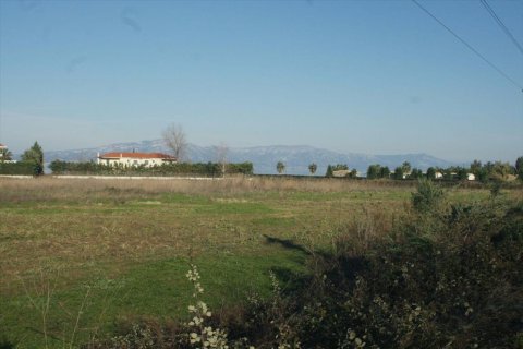 30000m² Land à Phthiotis, Greece No. 57346 3