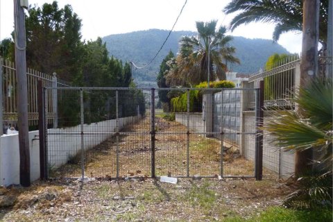 30000m² Land in Phthiotis, Greece No. 57346 5