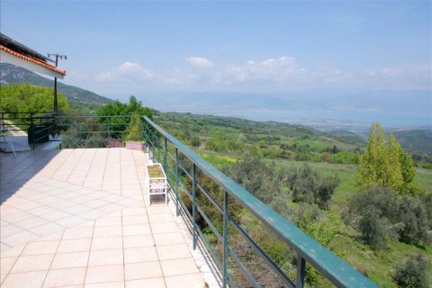 350m² Negocio en Phthiotis, Greece No. 56862 9