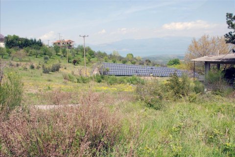 350m² Negocio en Phthiotis, Greece No. 56862 10