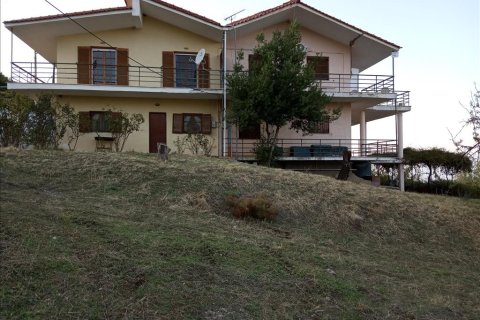 350m² Negocio en Phthiotis, Greece No. 56862 6