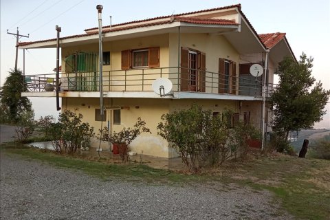 350m² Affaires à Phthiotis, Greece No. 56862 5