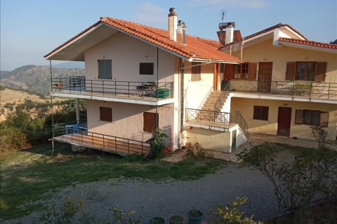 350m² Business in Phthiotis, Greece No. 56862 1