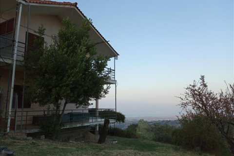 350m² Negocio en Phthiotis, Greece No. 56862 2