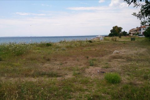 4770m² Land in Polygyros, Greece No. 56731 5