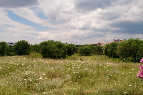 4770m² Land en Polygyros, Greece No. 56731 2