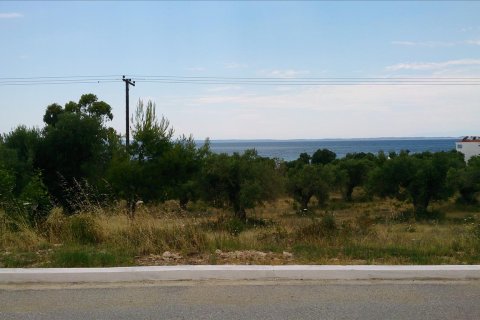 5658m² Land à Polygyros, Greece No. 56730 1