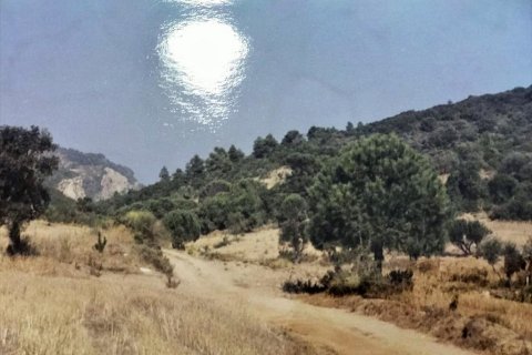 93000m² Land in Magnesia, Greece No. 58644 2