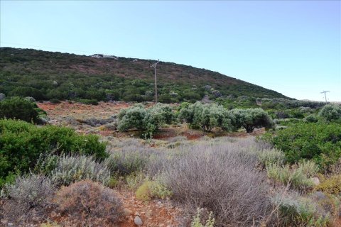 10110m² Land à Lasithi, Greece No. 58640 3