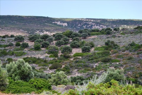 10110m² Land en Lasithi, Greece No. 58640 2