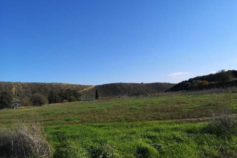 7358m² Land in Pissouri, Cyprus No. 71759 6