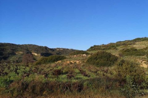 9458m² Land in Pissouri, Cyprus No. 71760 2